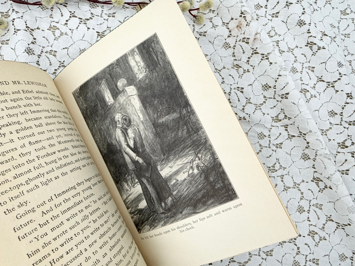 Love and Mr. Lewisham Book