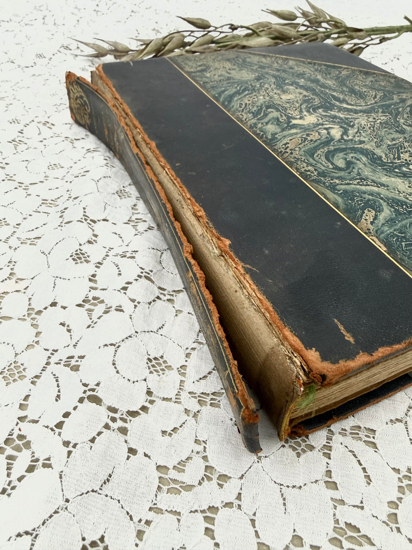 Vintage Book with Illustrations