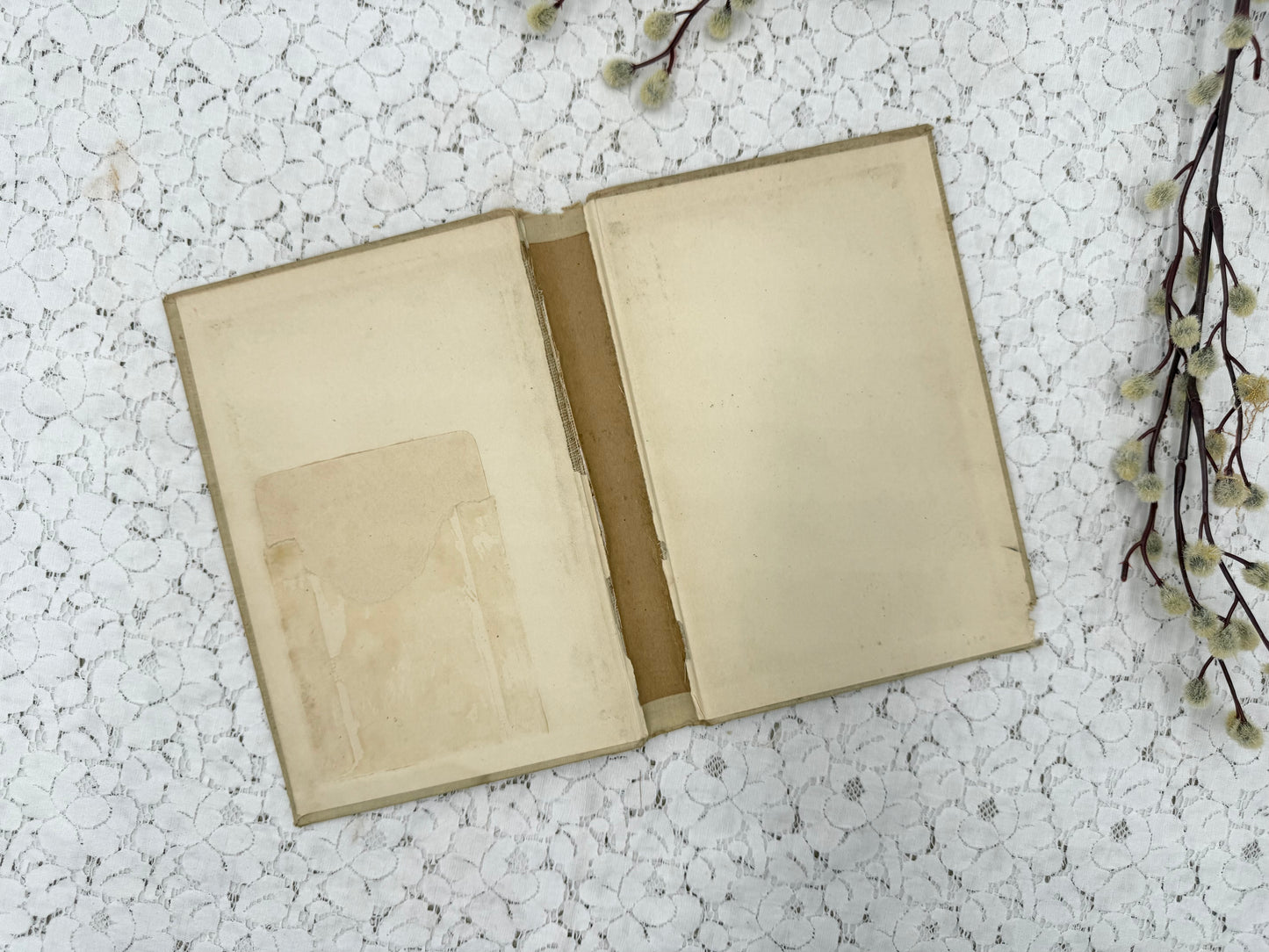 Vintage Book Cover