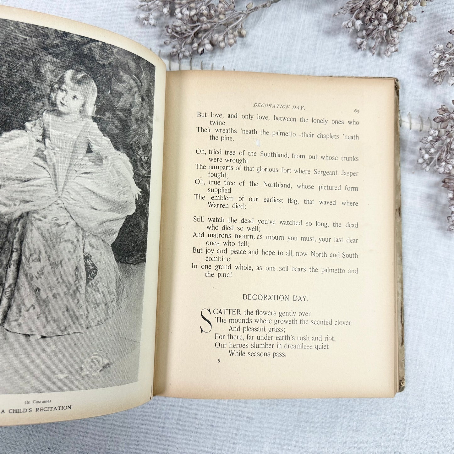 Uncle Sam Speaker Book