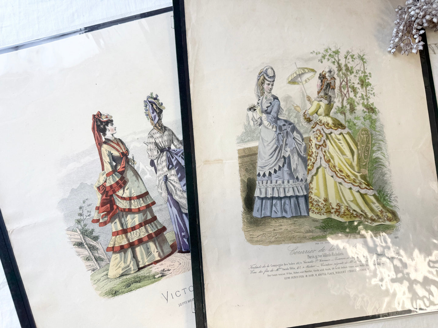 Stunning Vintage Prints (Set of 6)