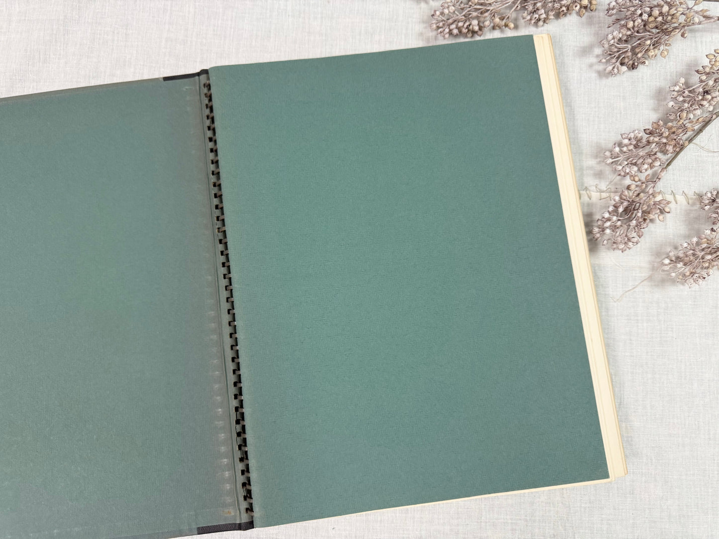 American Prints- 99 Prints