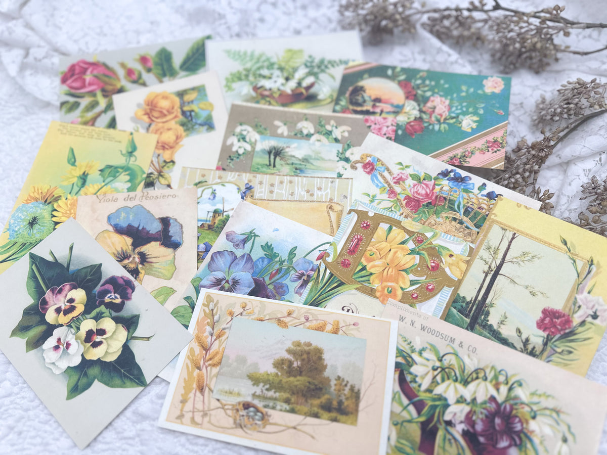 Project Progress Postcards Postcard Project Template- Digital Download – A House of Books
