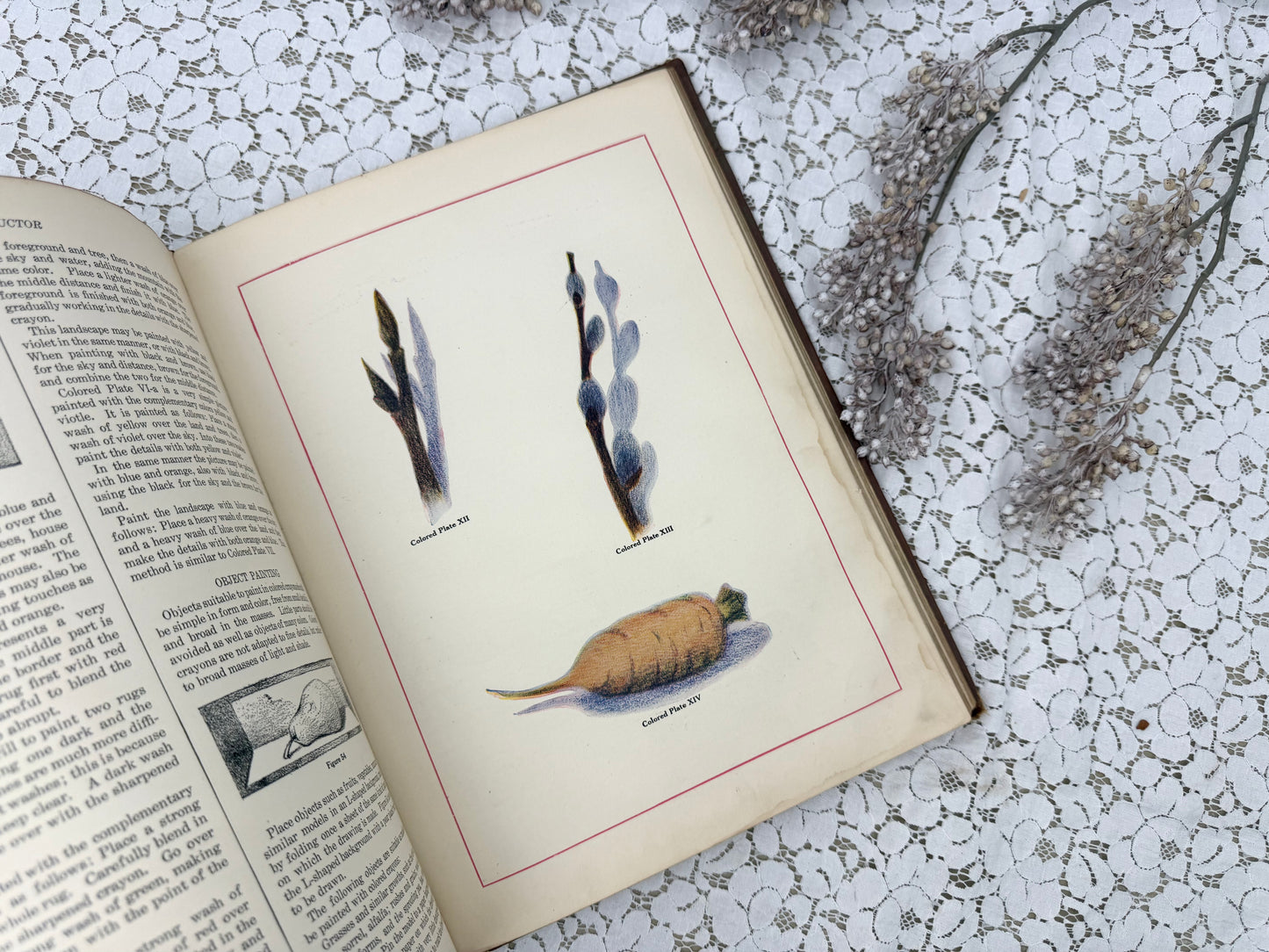 Junior Instructor Book