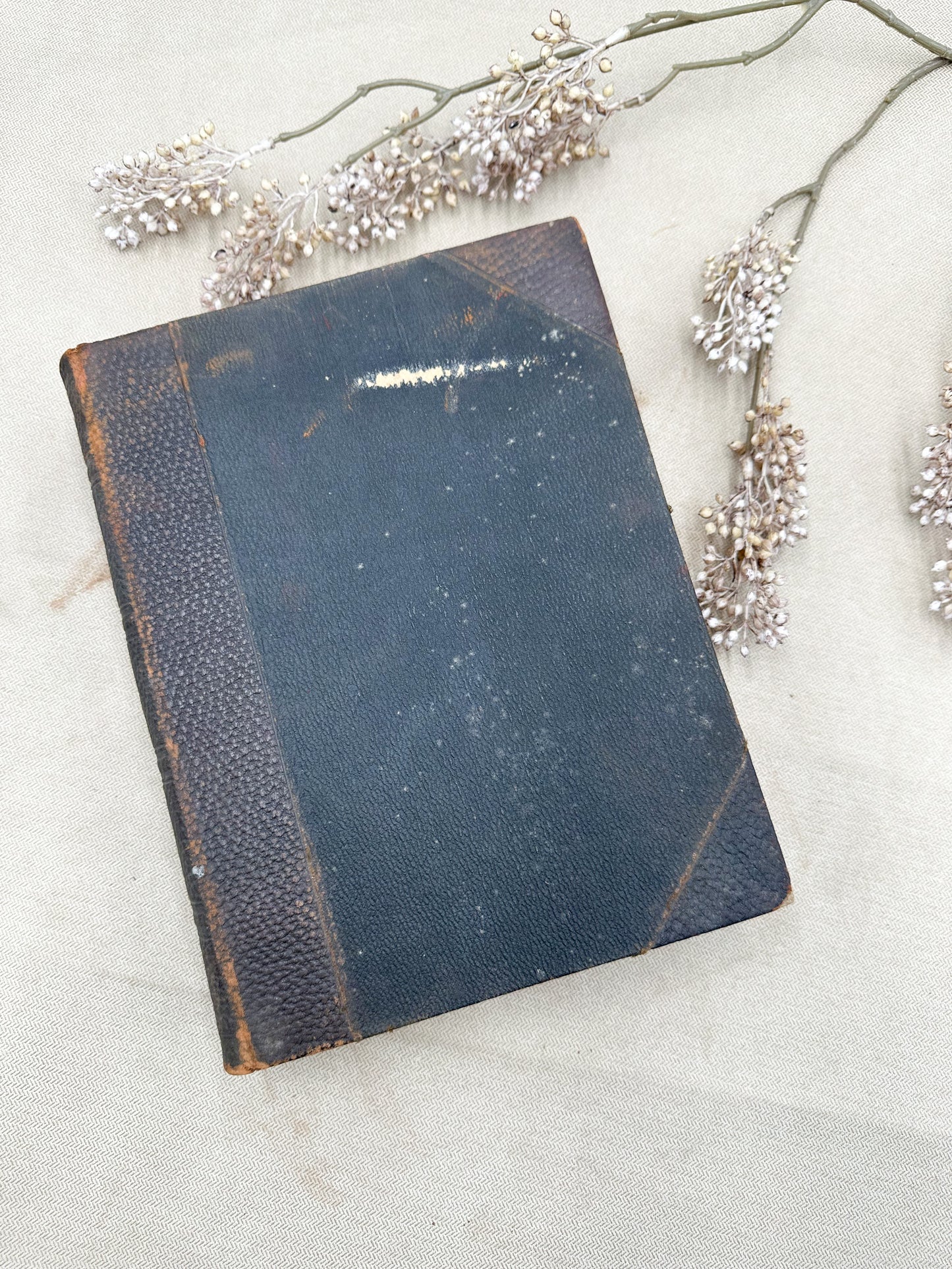 Geneology Book (Two Available)