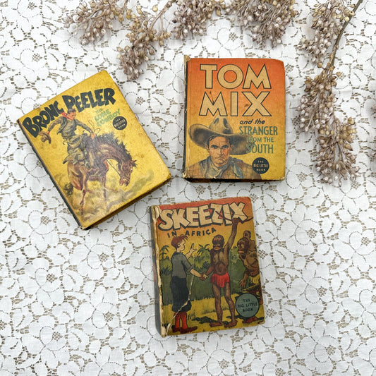 Set of Little Big Books