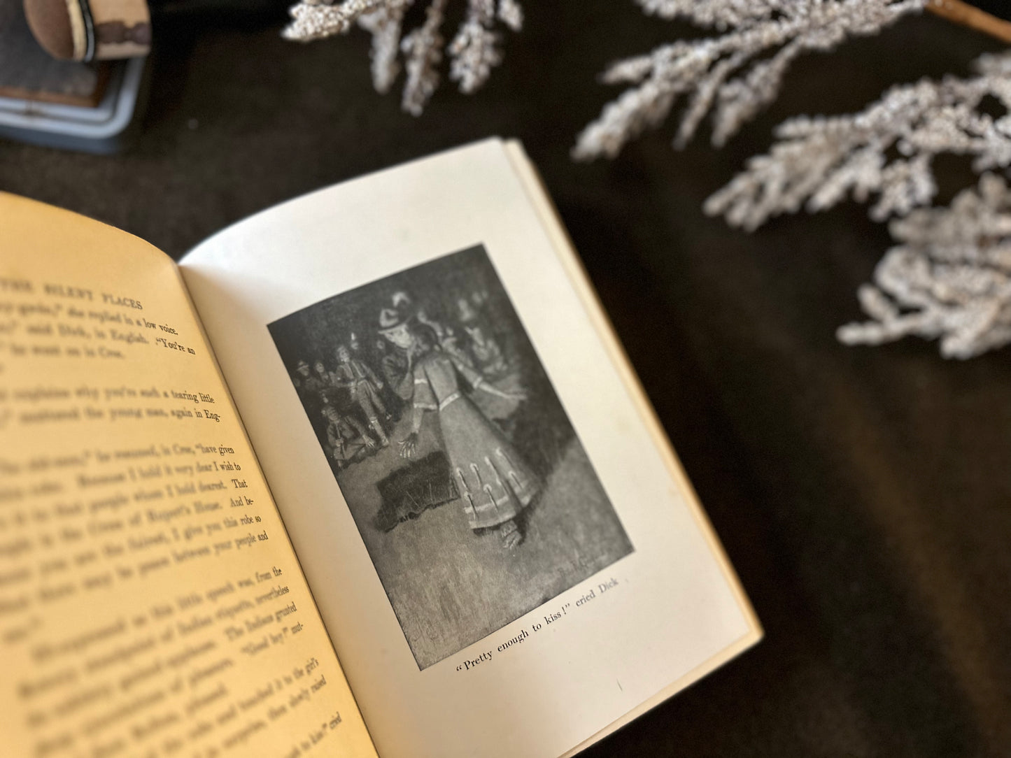 Beautiful Vintage Book