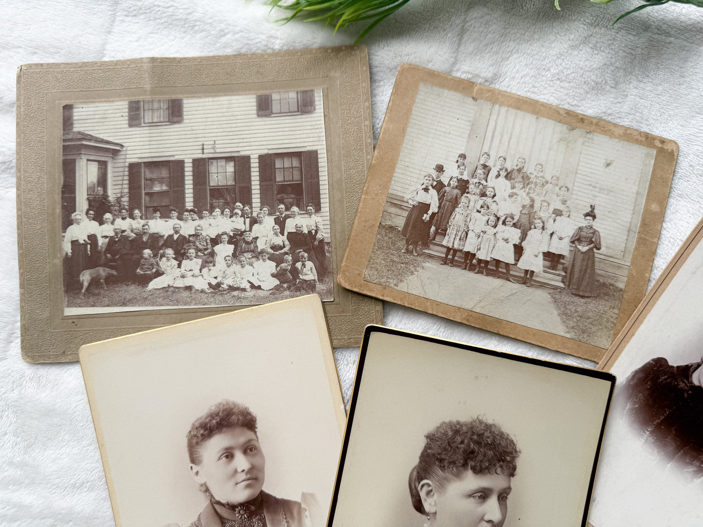 Vintage Photograph Set