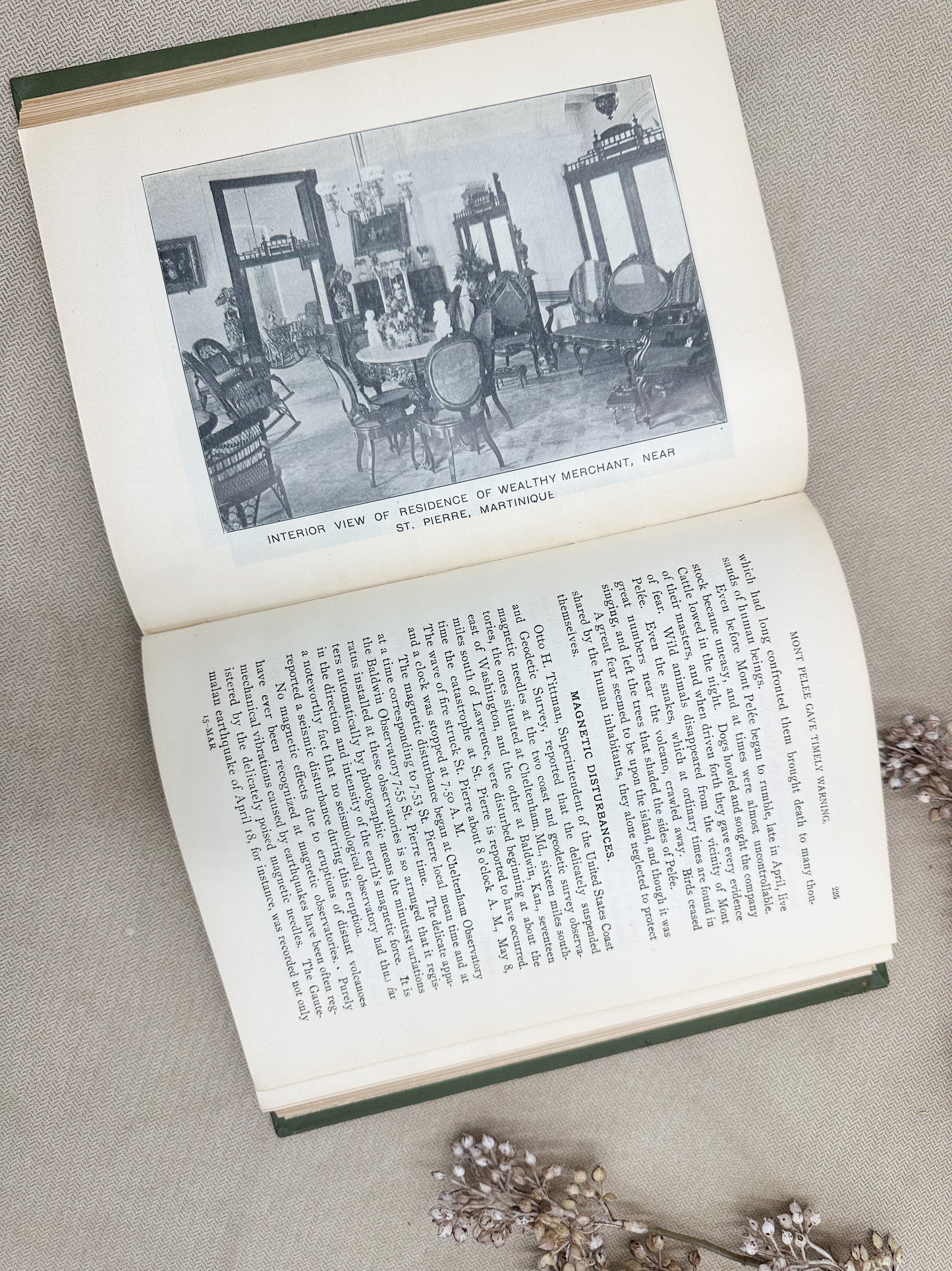 True Story of Martinique on St. Vincent Calamities- 1902