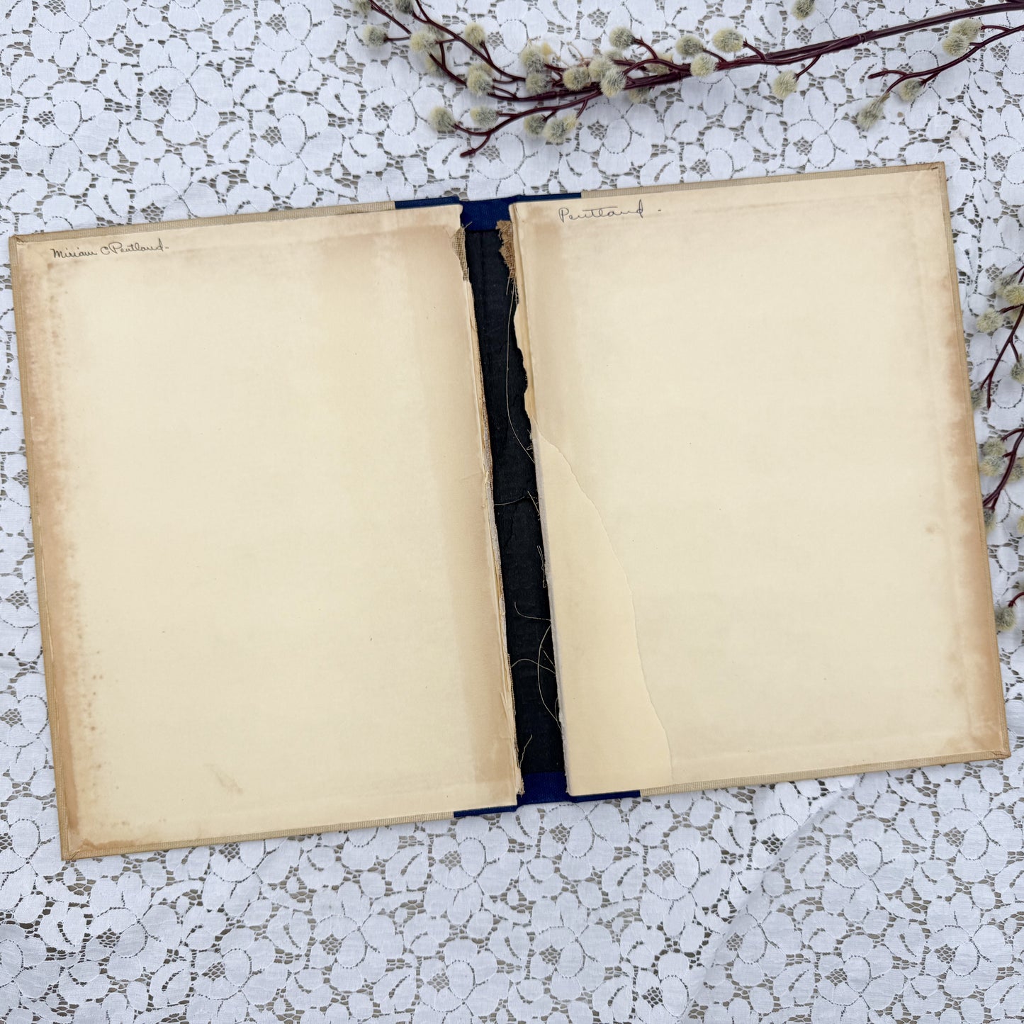 Vintage Book Cover