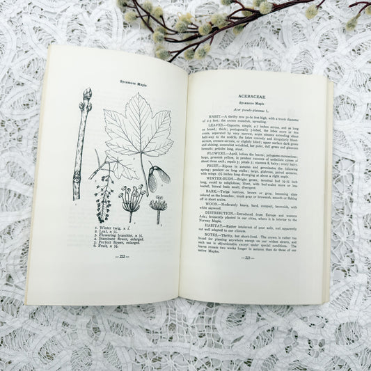 Michigan Trees Book