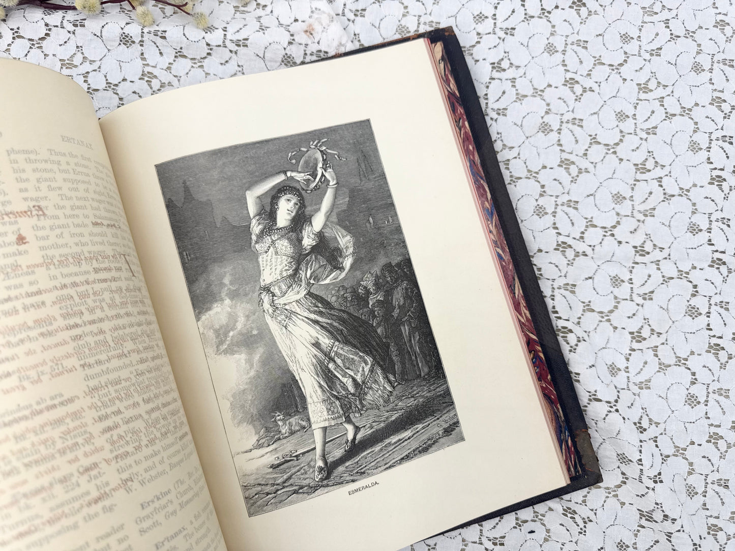 Illustrated Book (4 Different Volumes Available)