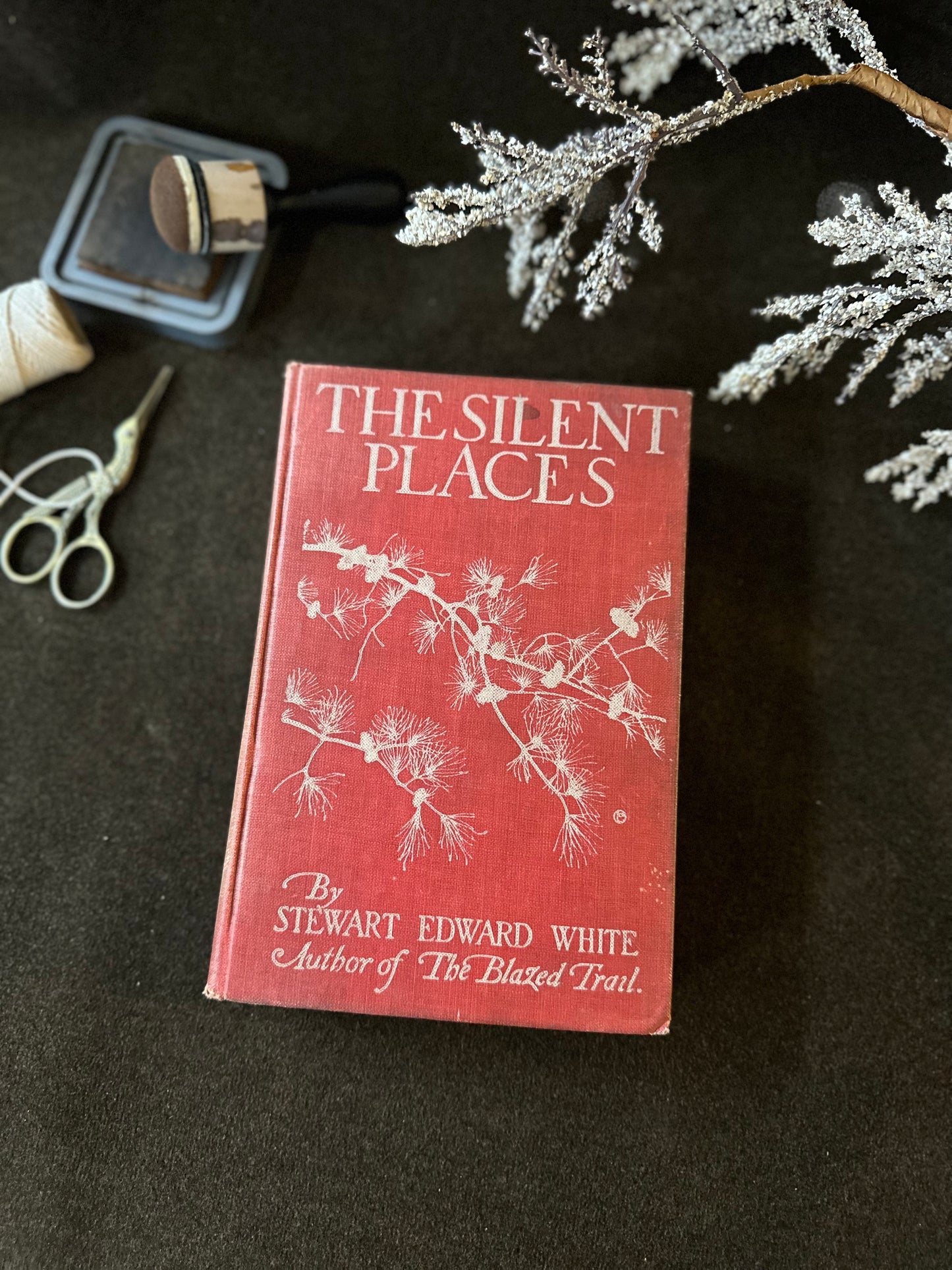 Beautiful Vintage Book
