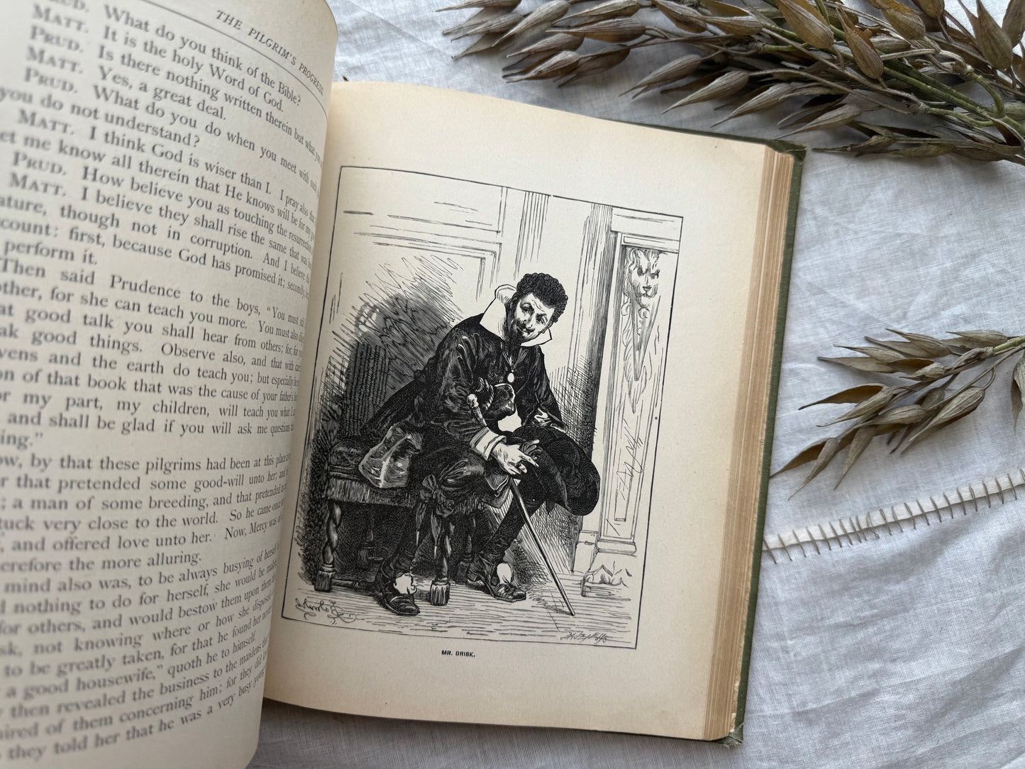 Illustrated Pilgrim's Promise