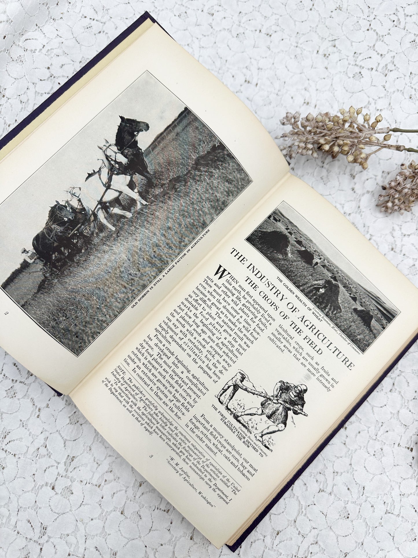 Illustrated New Human Interest Book