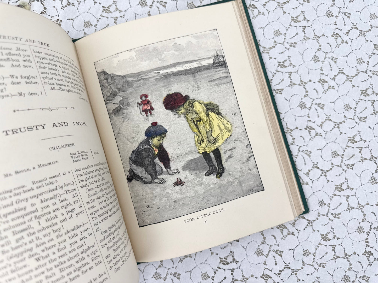 Illustrated Book