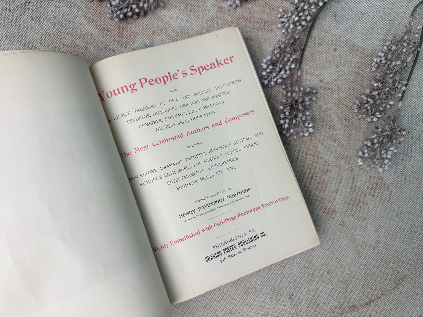 Vintage Book