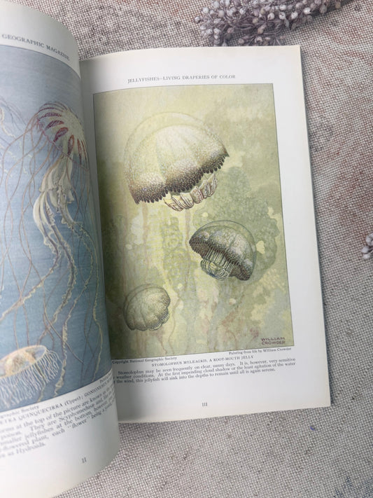 National Geographic Magazine