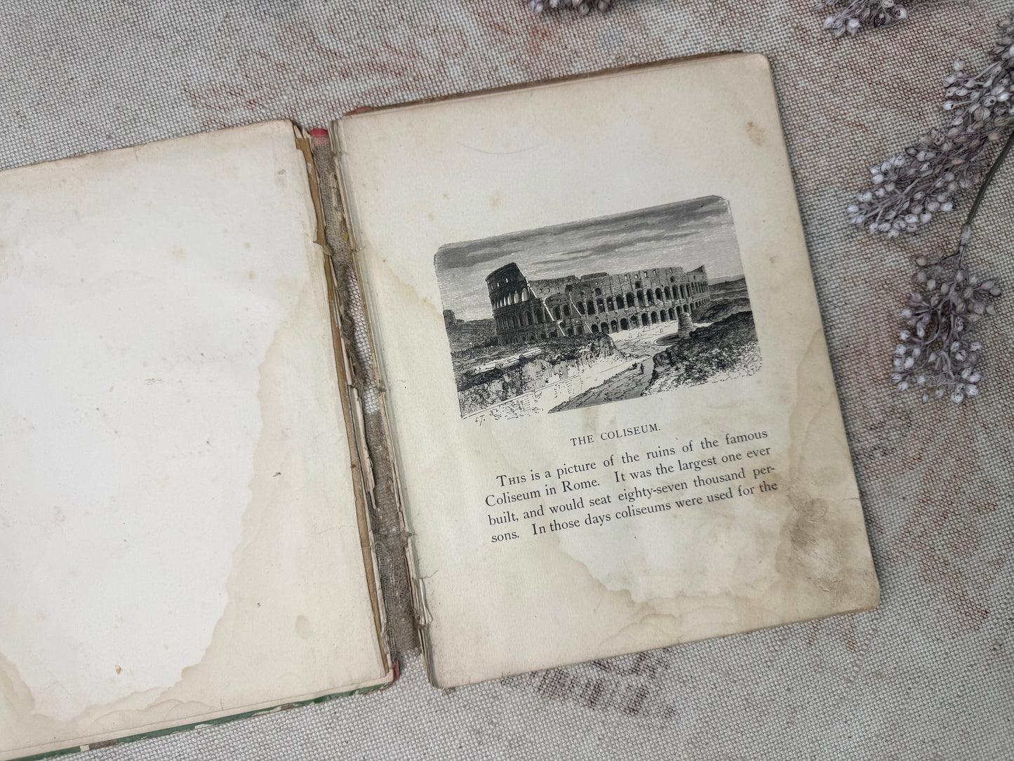 Vintage Children's Book
