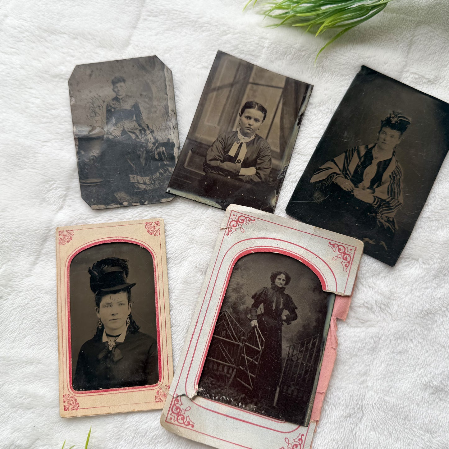 Vintage Tin Type Set