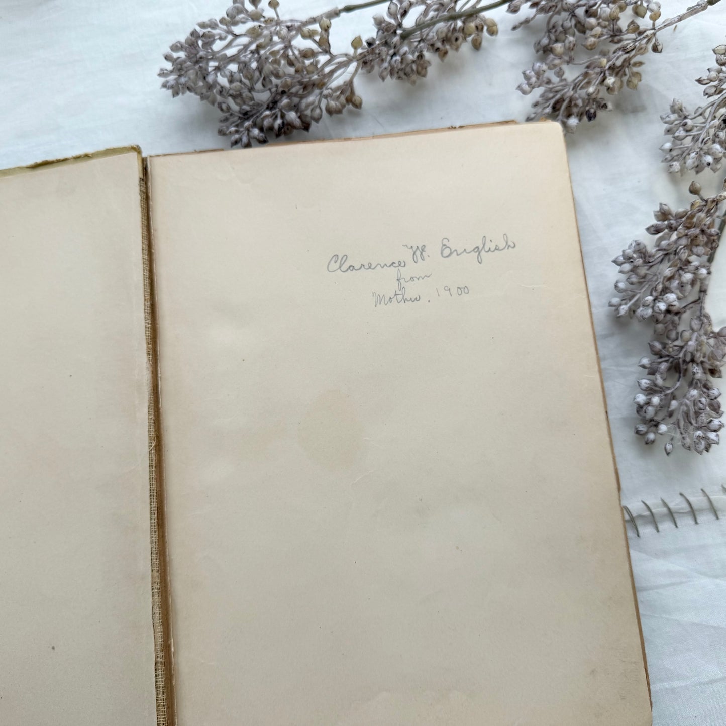 Pilgram's Progress (Illustrated)