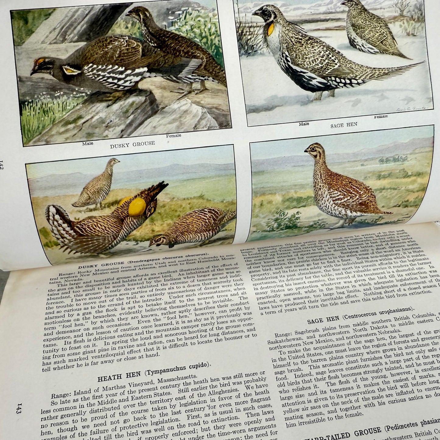 Aug 1915 National Geographic Magazine