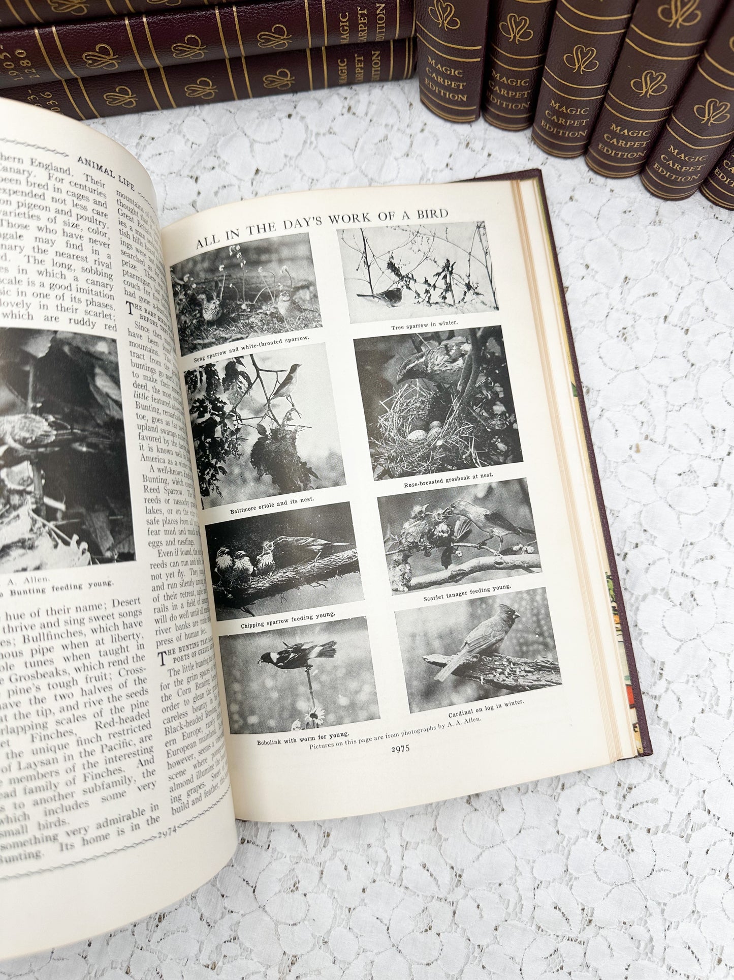 Illustrated Book of Knowledge (Price for One Book)