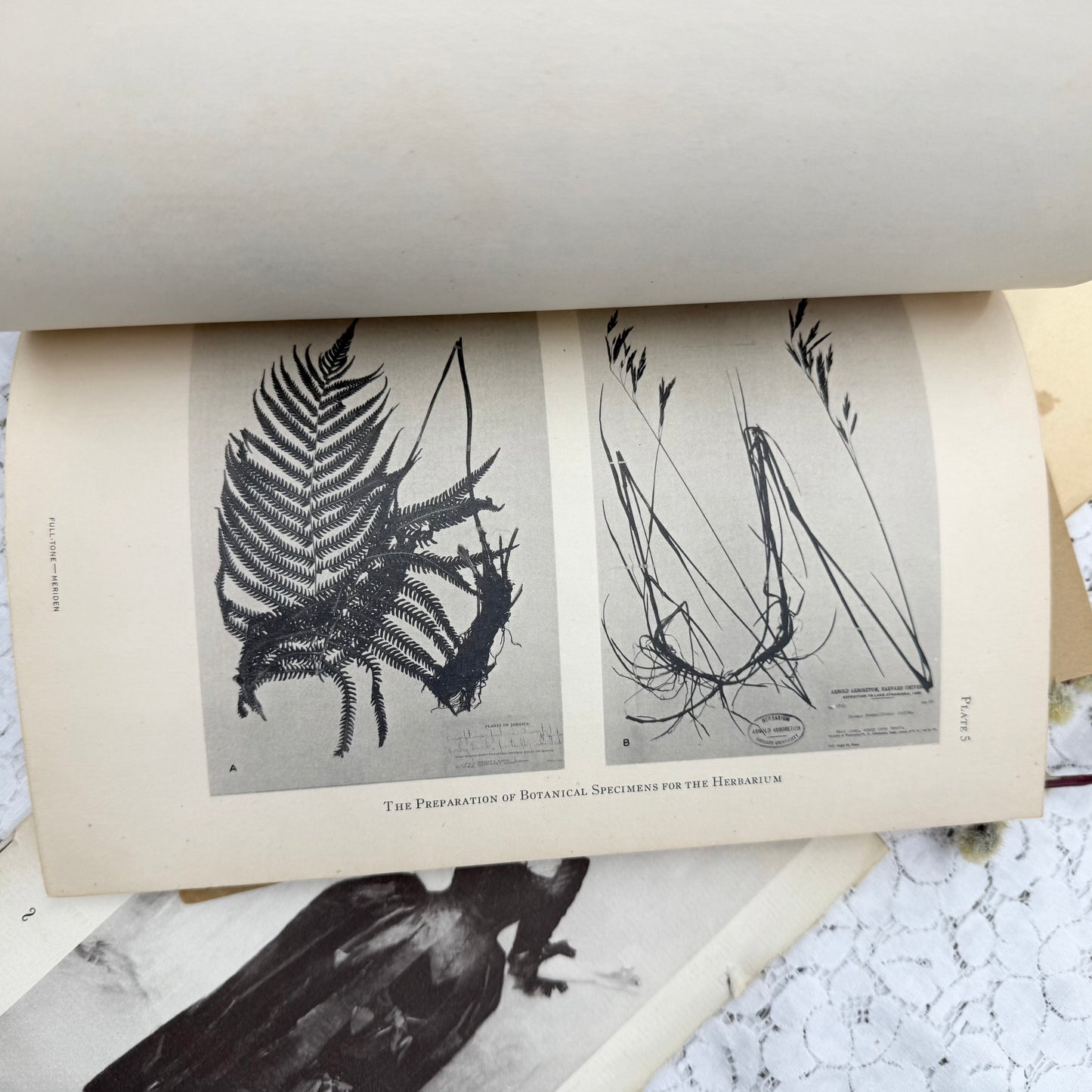 Botany Booklets