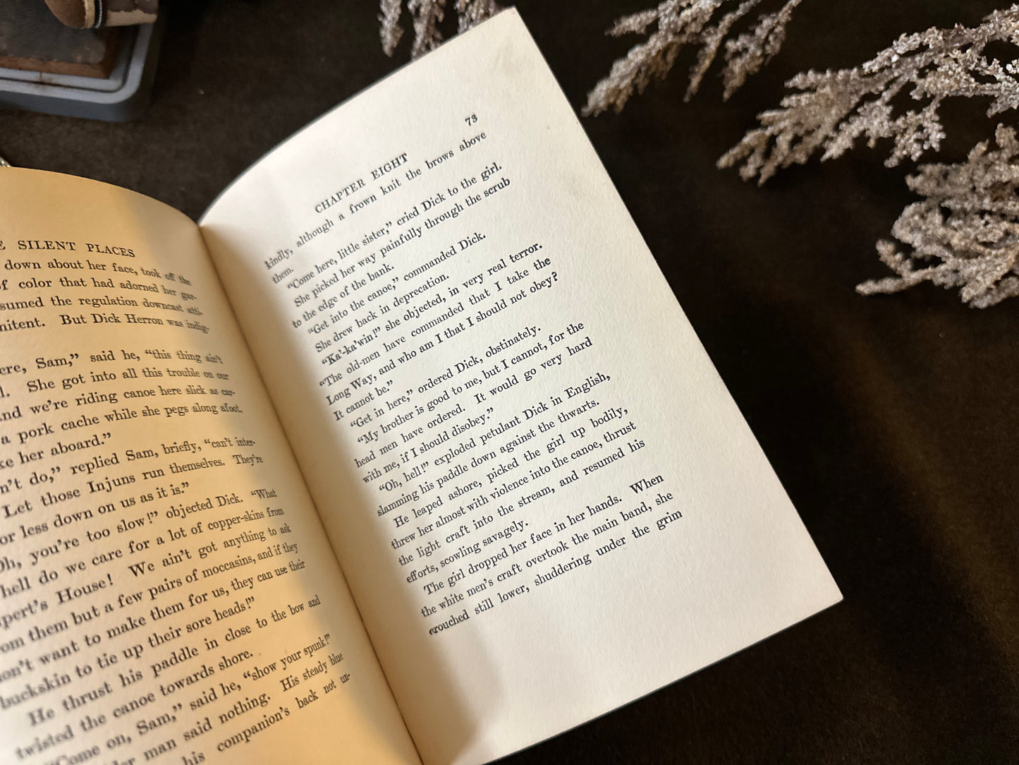 Beautiful Vintage Book