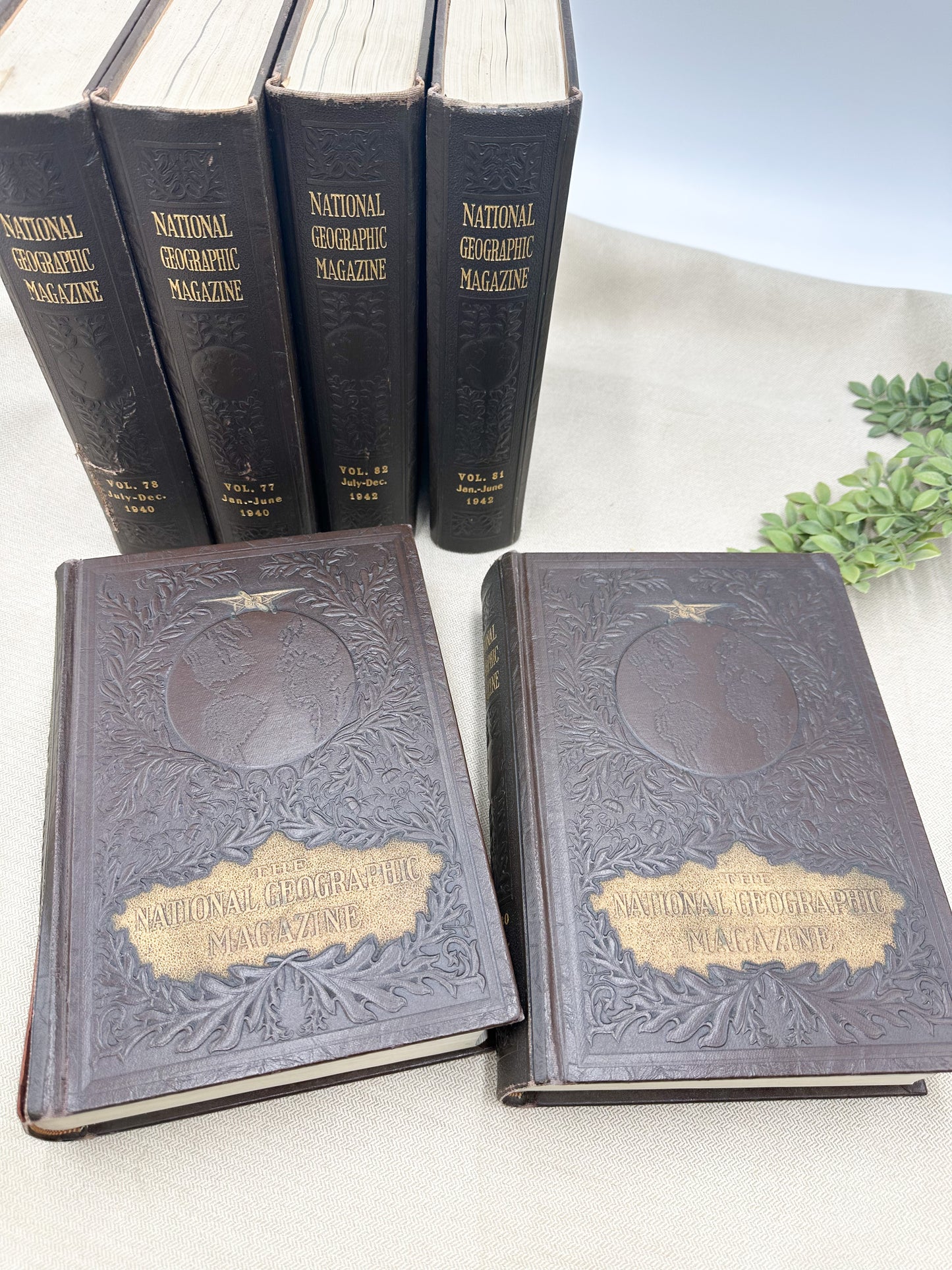 Bound Series of National Geographic Books