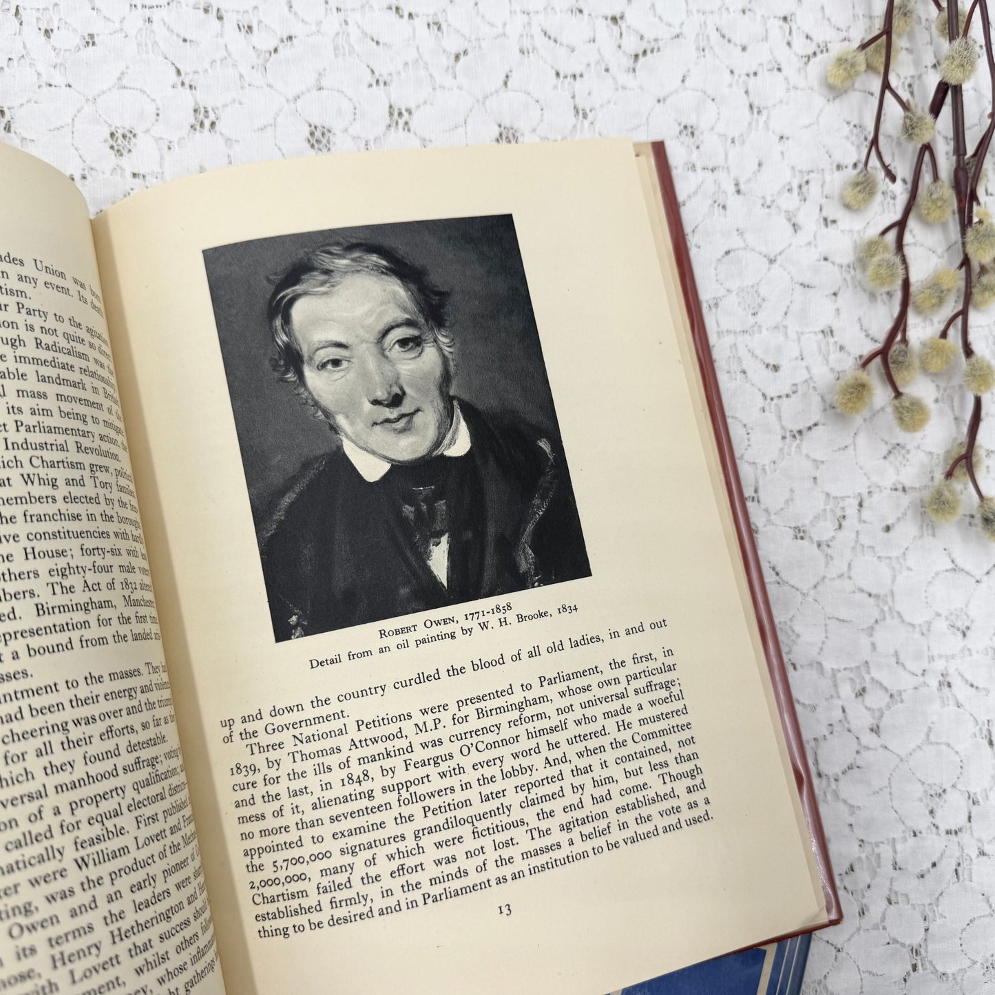 Illustrated Book Set