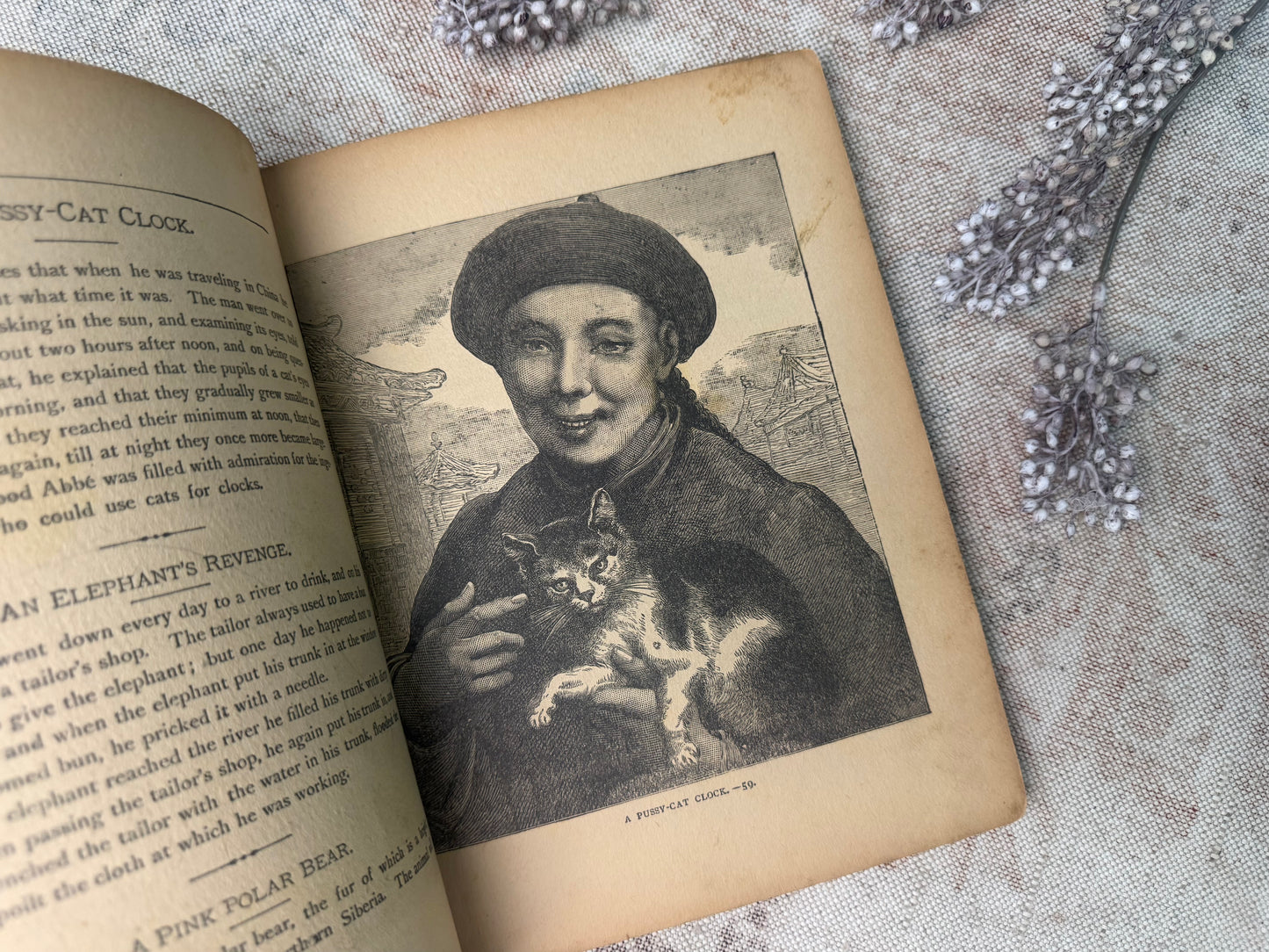 Vintage Children's Book