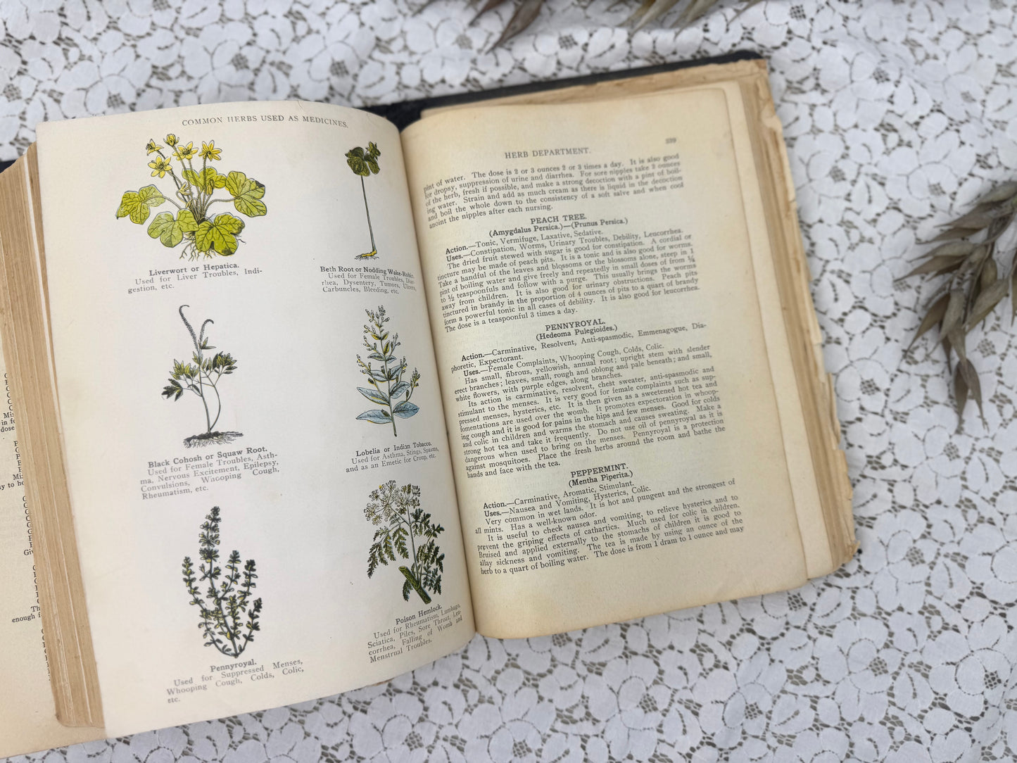 The Peoples Home Manual