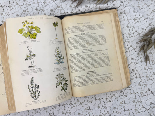 The Peoples Home Manual