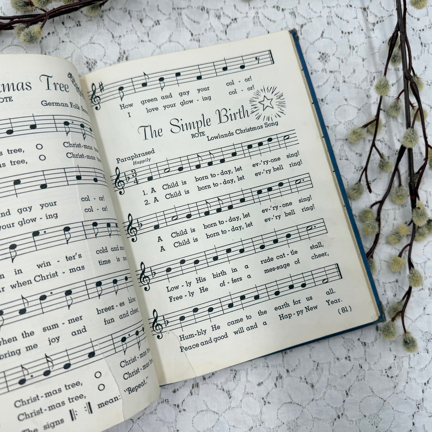 Vintage Music Book Set