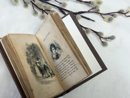 Vintage Book with Illustrations