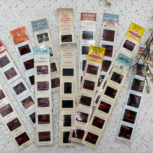 Tourist Slide Packs