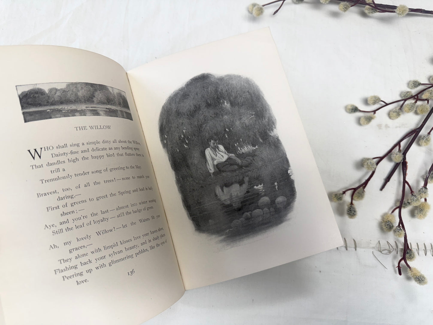 Riley Songs O'Cheer- Pretty Book