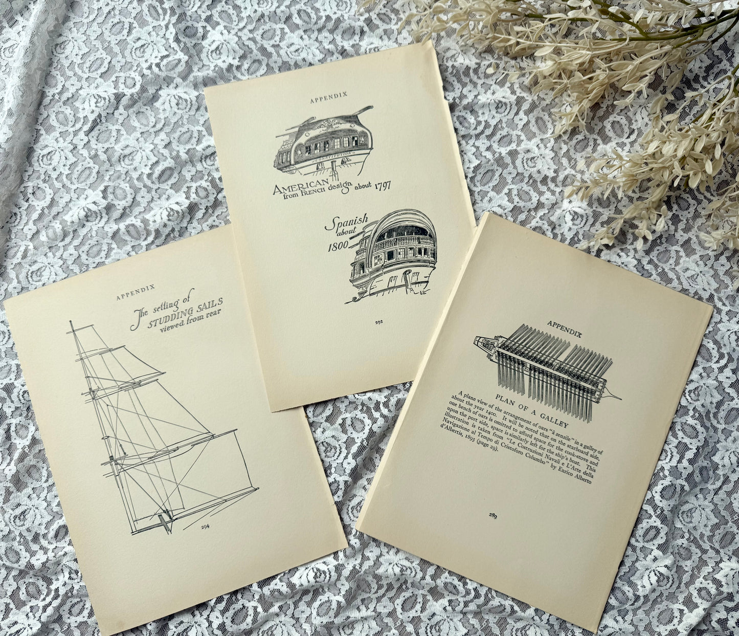 Vintage Book Pages