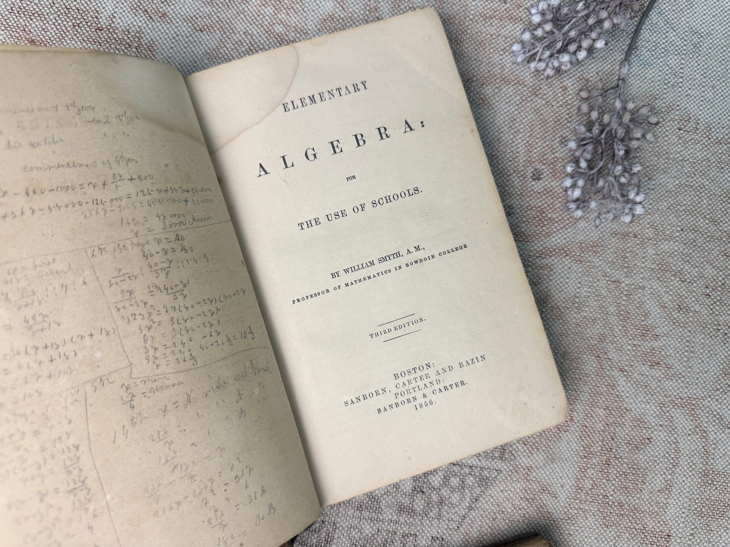 Vintage Textbook Set