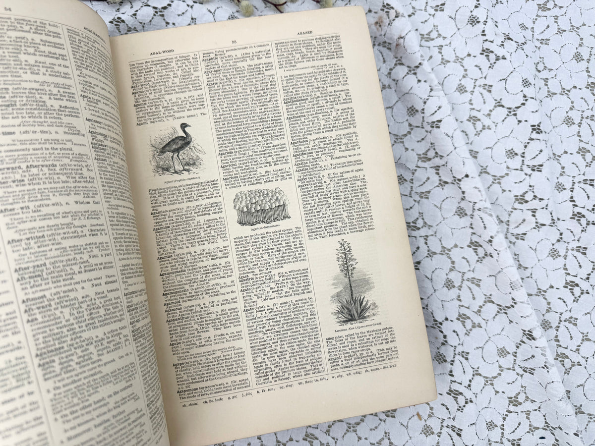Imperial Dictionary- Illustrated