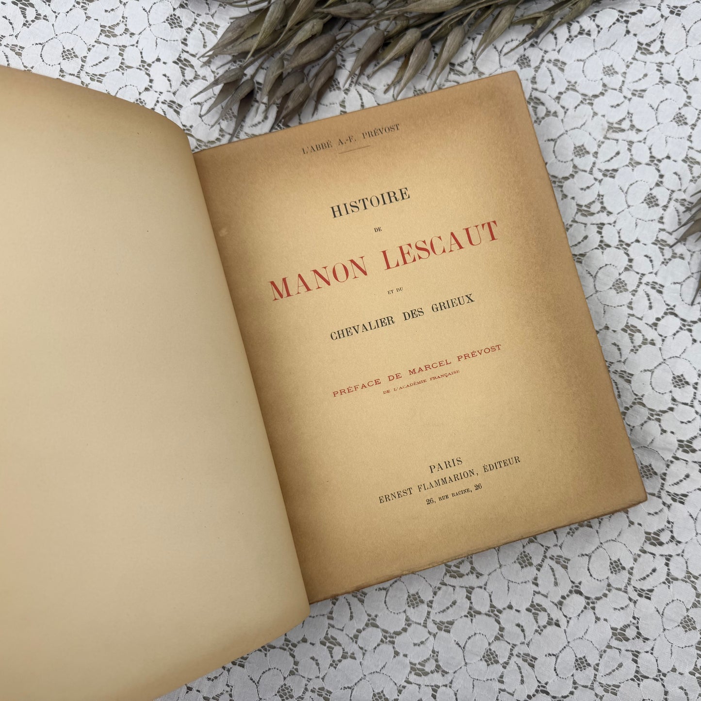 Vintage Book with Illustrations