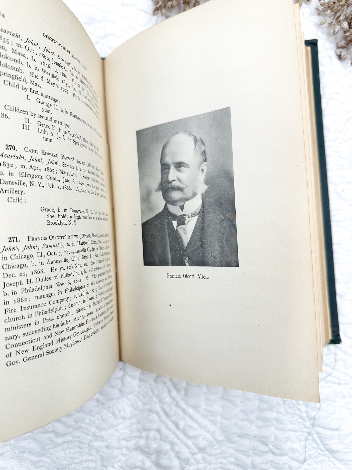 Vintage Genealogy