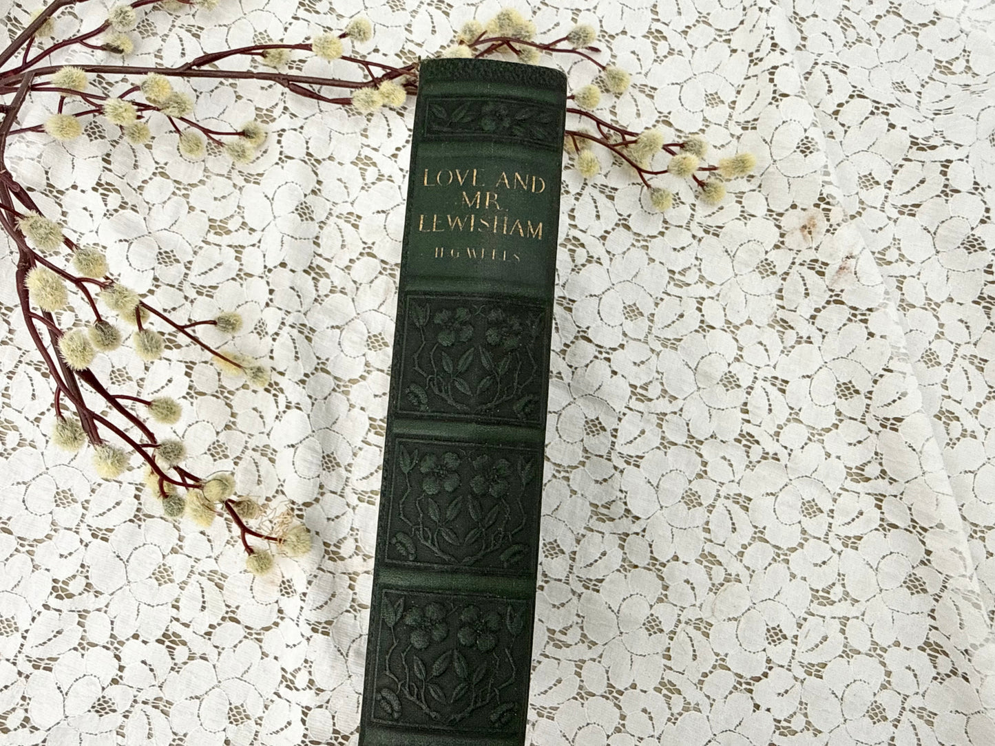 Love and Mr. Lewisham Book