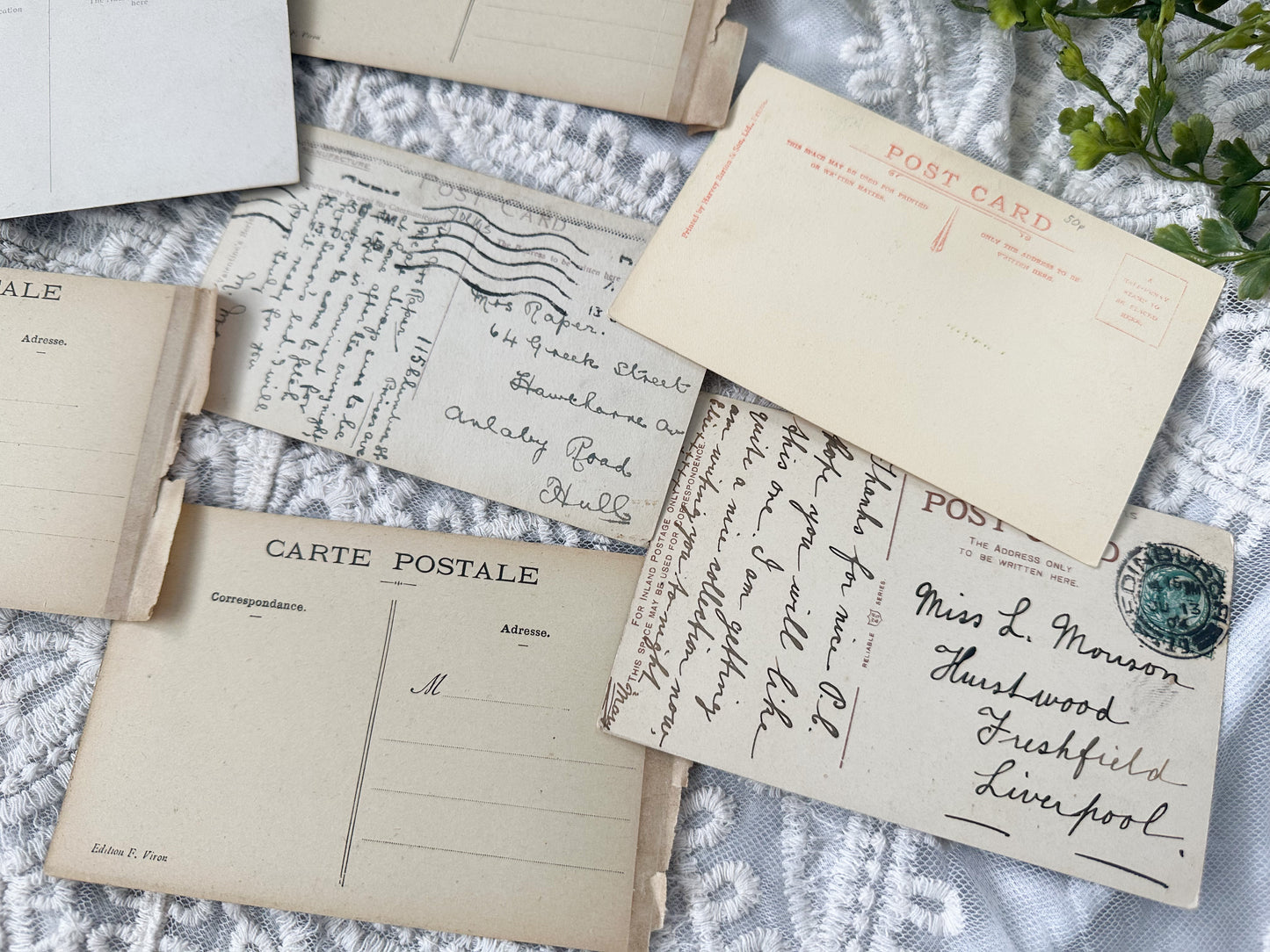 Vintage Postcard Set