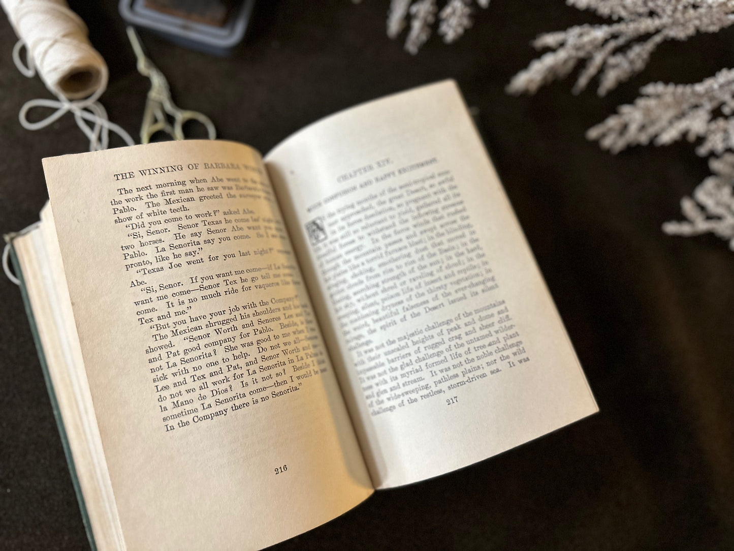 Beautiful Vintage Book