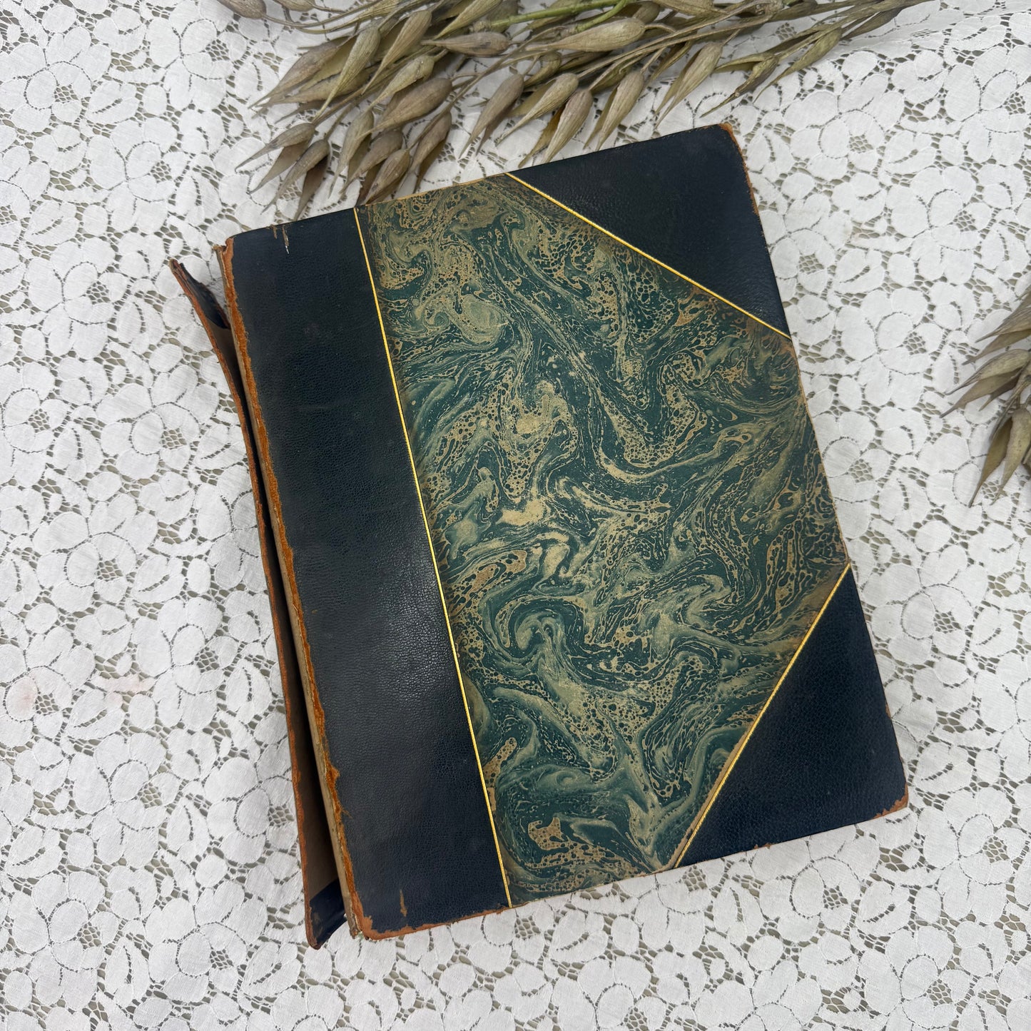 Vintage Book with Illustrations