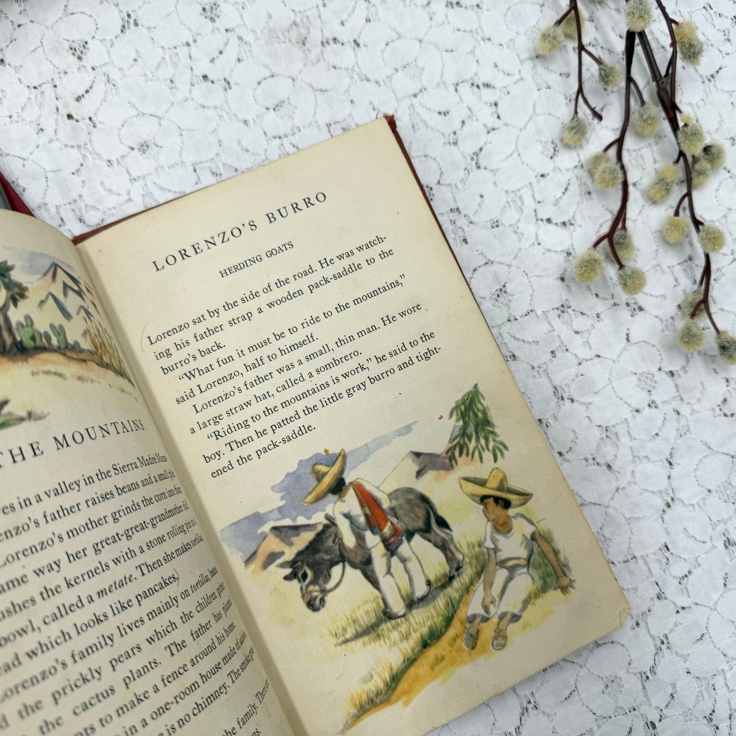 Vintage Book Set