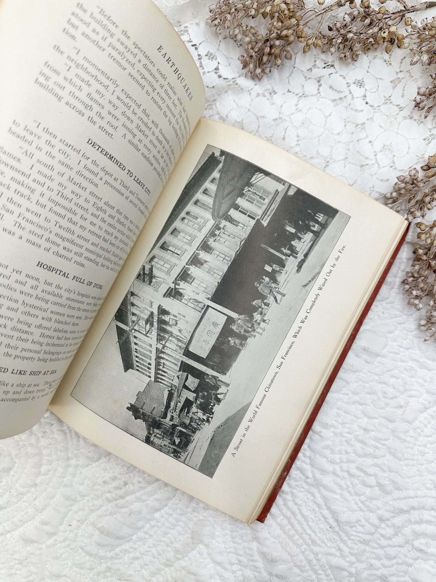 Complete Story of the San Francisco Earthquake