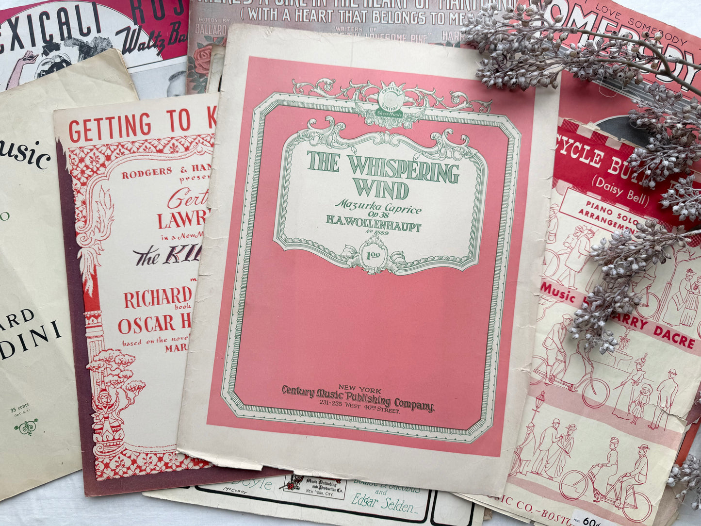 Vintage Music Set